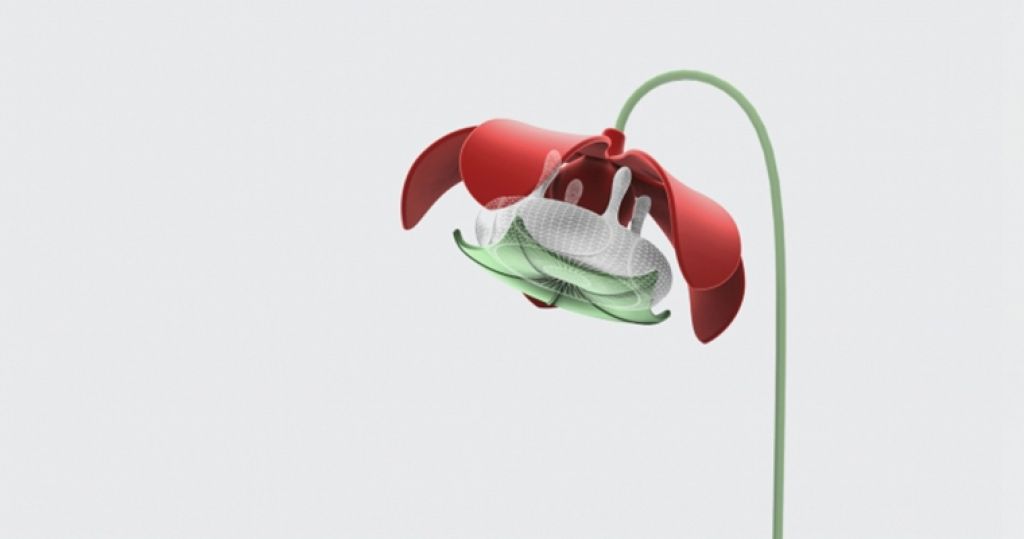 Designing Sex Toys for Plants
