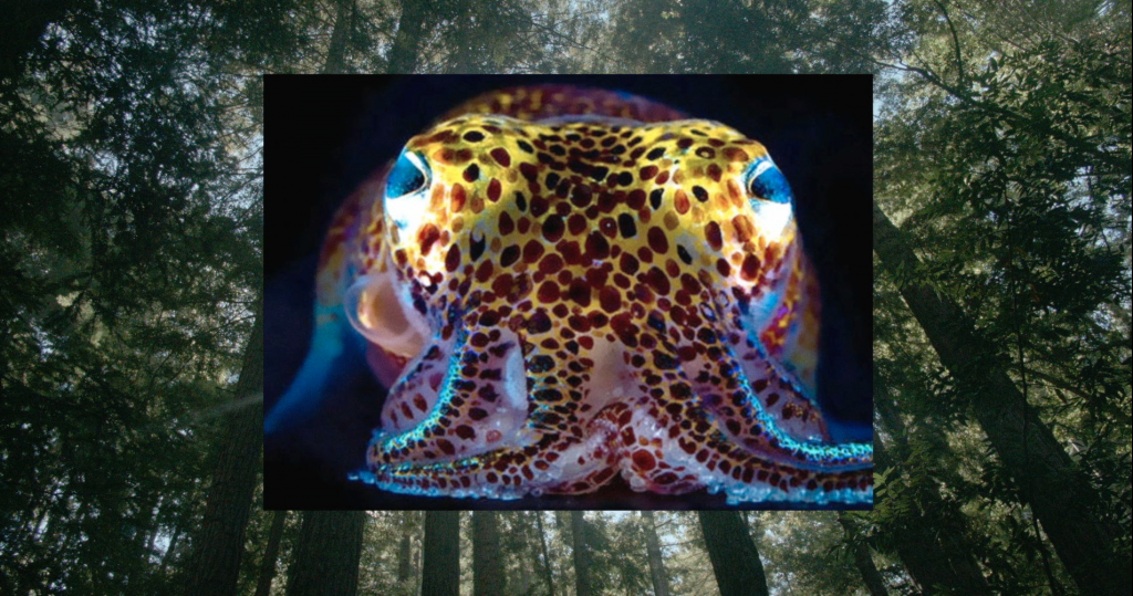 Donna Haraway: Story Telling for Earthly Survival