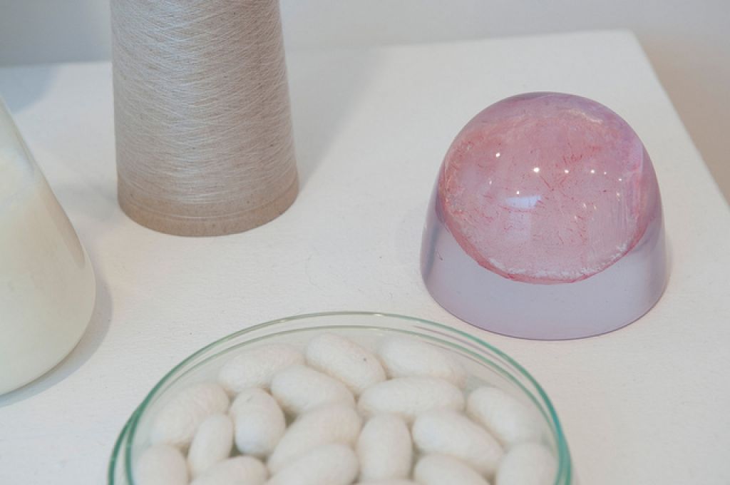 Opening expositie: BioArt Not Stirred