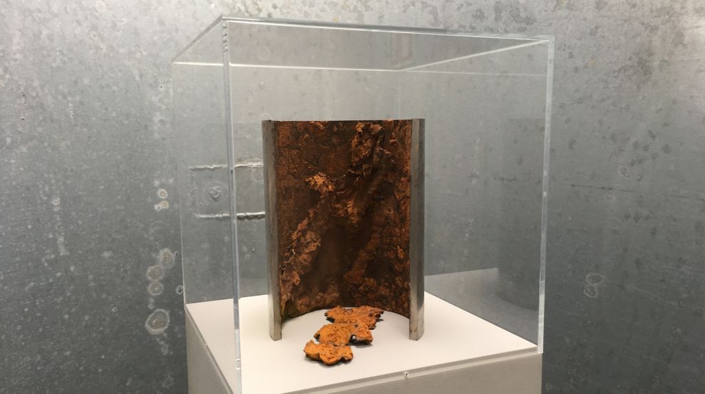 Opening expo: Soil I Sky I Skin
