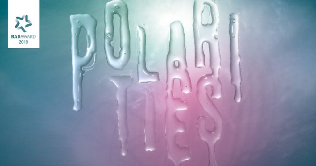 Polarities Special | Saturday February 29 with Simon/e van Saarloos