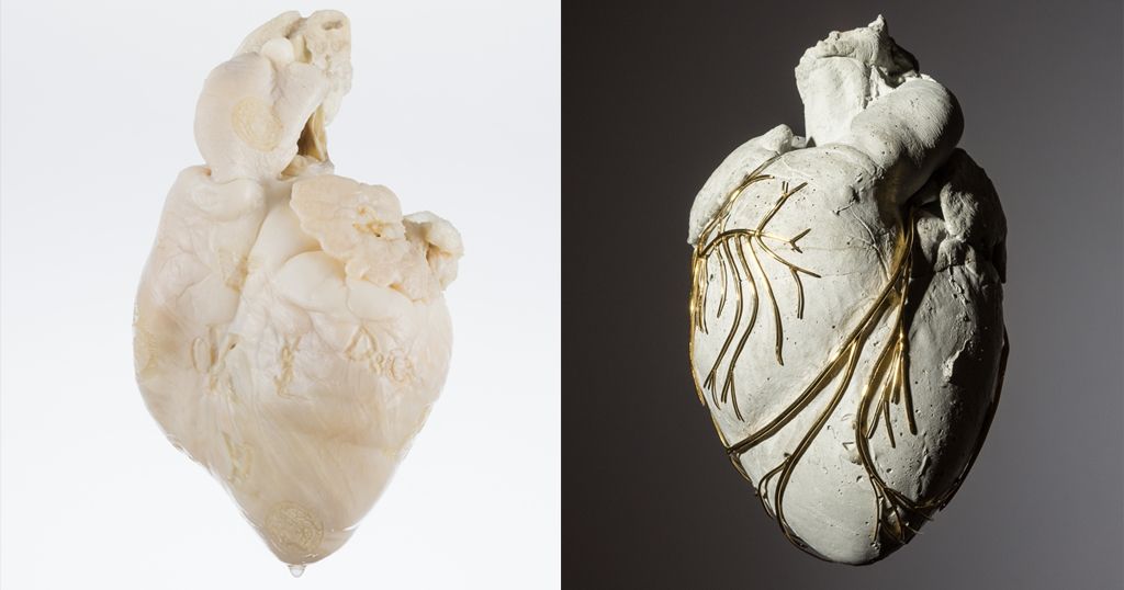 GEMIST: Bio Art & Design expositieprogramma